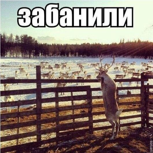 Картинки не для всех