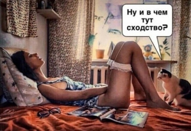 К котовторнику: подборка картинок-баянов с котиками и про котиков. Выпуск 6