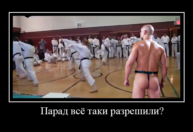 Кто им дал чёрные пояса?