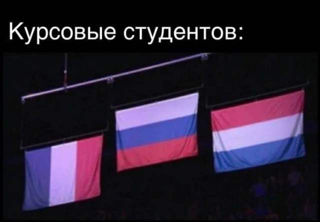 Юмор для тех, кто уже повзрослел и понял, что «личная жизнь» — это кот и плед