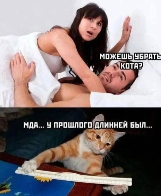 Пятничные бояны