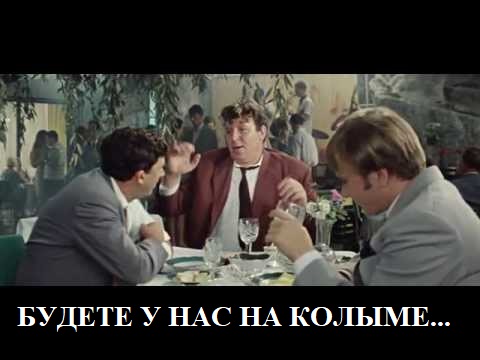 Девушка встретила котенка на Мальдивах и забрала малыша с собой в Москву