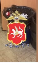 Сотрудники Госавтоинспекции Казани задержали водителя, неуступившего проезжую часть автомобилю скорой помощи