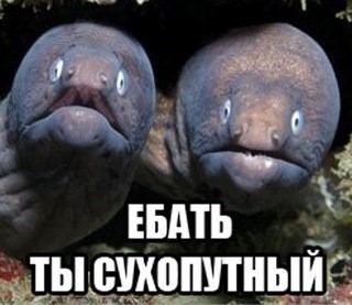 Рыбы, ловкие и резкие