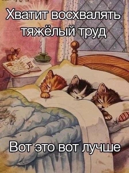 К котовторнику: подборка картинок-баянов с котиками и про котиков. Выпуск 26.