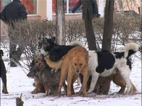 В Турции кикбоксерша избила российскую модель на вечеринке у влиятельного бизнесмена: любовница приревновала турка