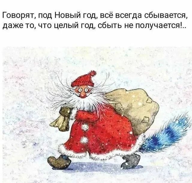 Так себе картинки 24.12.25