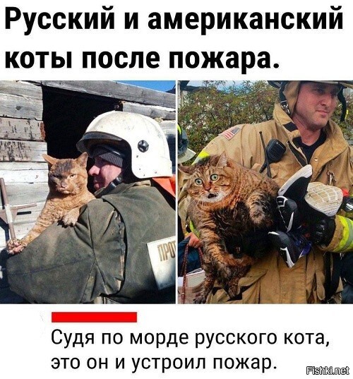 Картинки для деградации 168 (разной степени свежести)