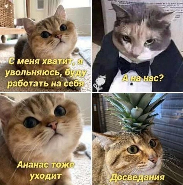 Картинки для деградации 176 (разной степени свежести)