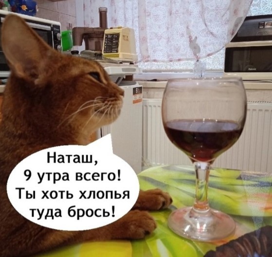 Картиночки, баянчики 25 апреля