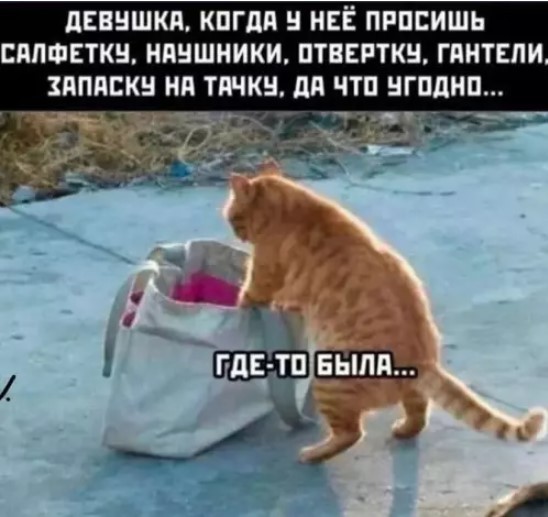20997710.jpg