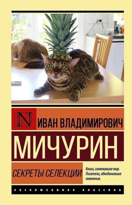 К котовторнику: подборка картинок-баянов с котиками и про котиков. Выпуск 40.