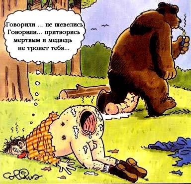 Как будто медведи идут