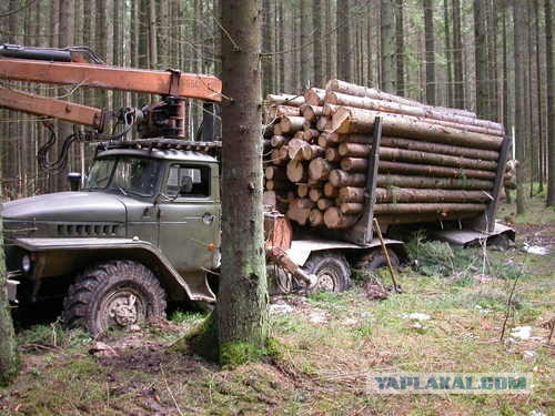 Самые автономные автономные автомобили
