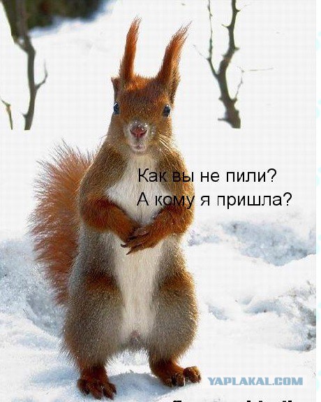 Приходили из КГБ