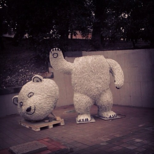 Прекрасное. Необъяснимое. Из Сочи