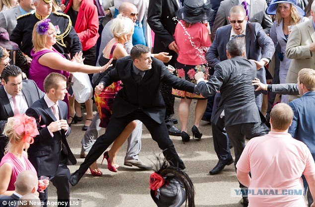 Драку заказывали?