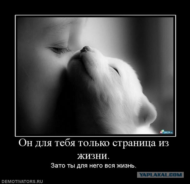И кто тут говорил, что у крыс нет чувств и эмоций?