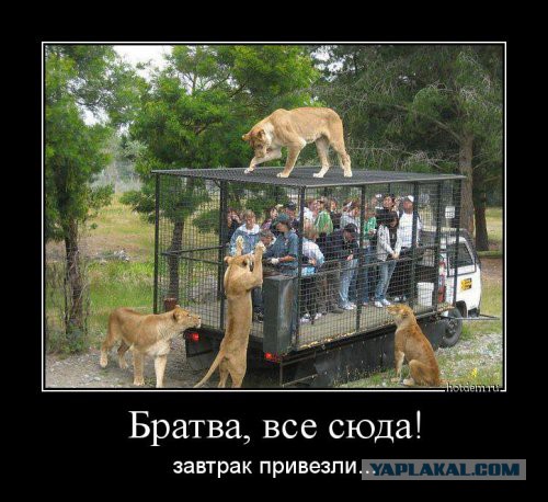 Немного позитива на пятницу
