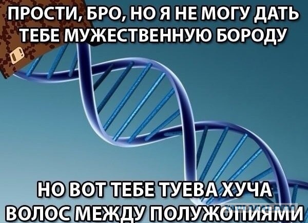 Свежие картинки из сети