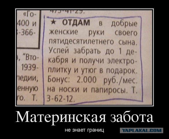 Веселые картинки