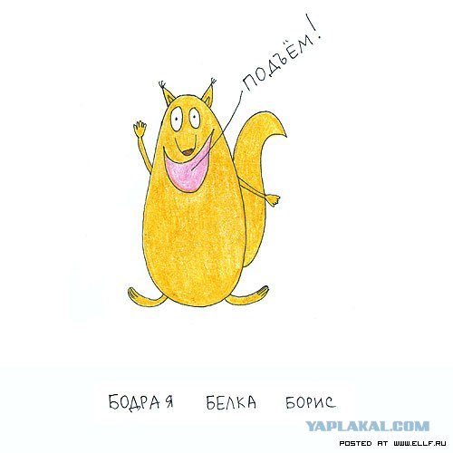 Рисованные животные дурачатся