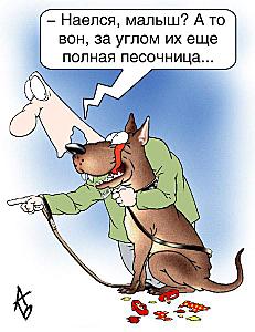 Хозяев бойцовых собак