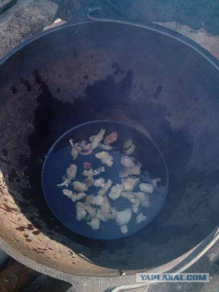 Кулинарный туризм.