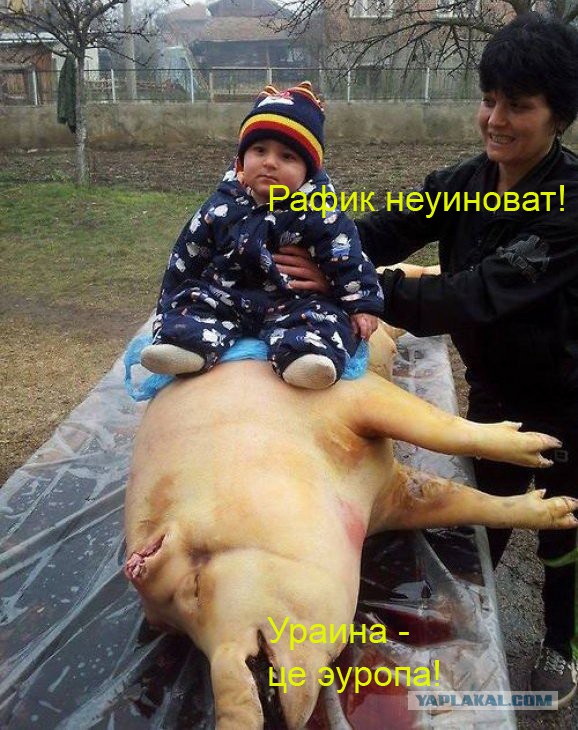 Украина 2015 глазами москаля