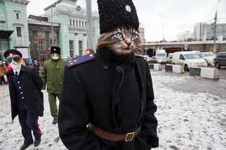 Плюшкиным посвящается