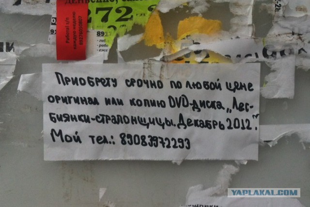 Отец Тимура Мансорунова