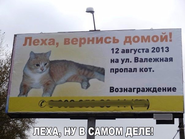Прикольные картинки