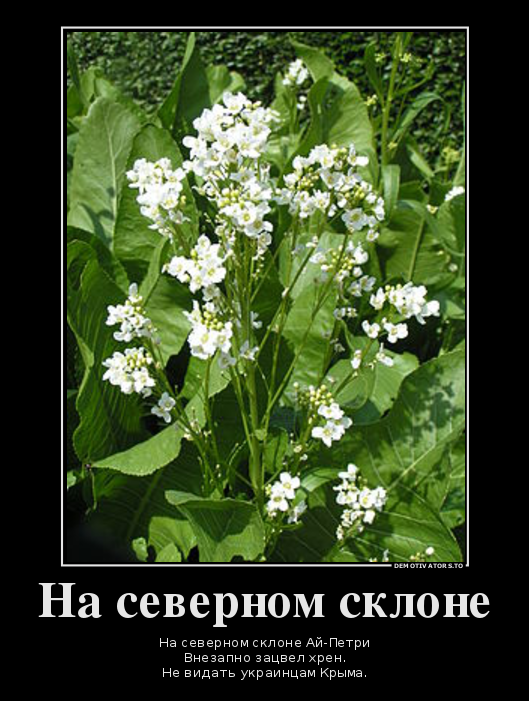 Украина Послезавтра