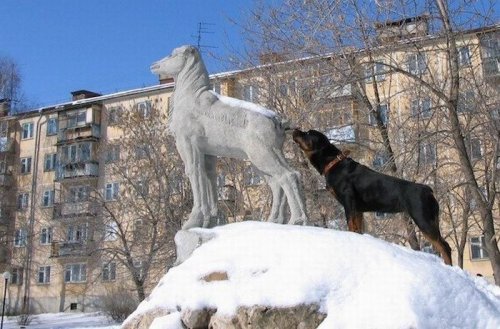 Подборка картинок 19.02.16
