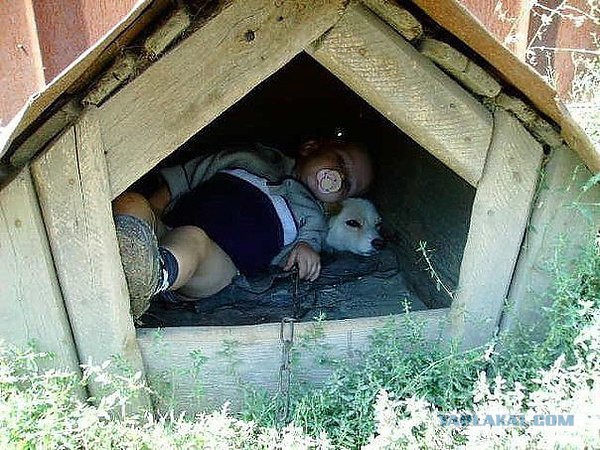 50 приколов по-русски ч.3