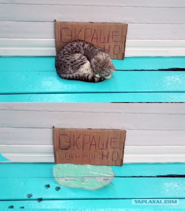 Подборка картинок