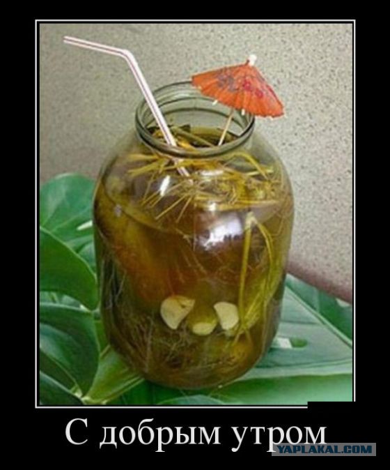 С Днем Рождения, ЯП! 12 лет