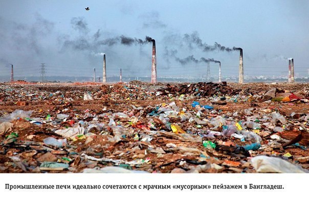 Интересные и веселые картинки