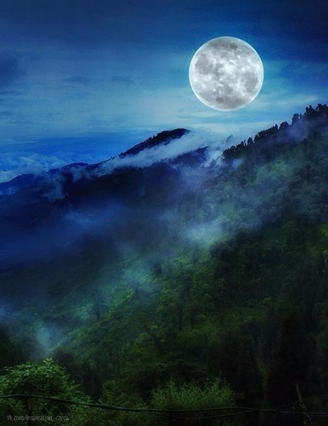 Интересные и веселые картинки