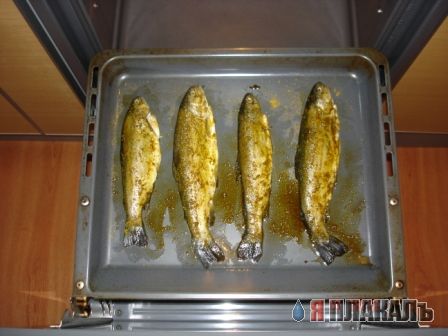 Все из рыбы!