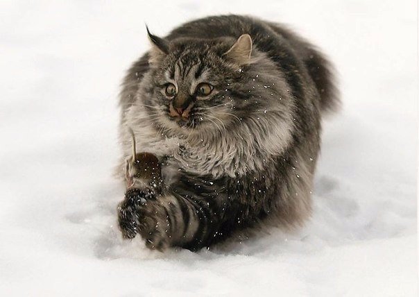 Подборка интересных и веселых фото