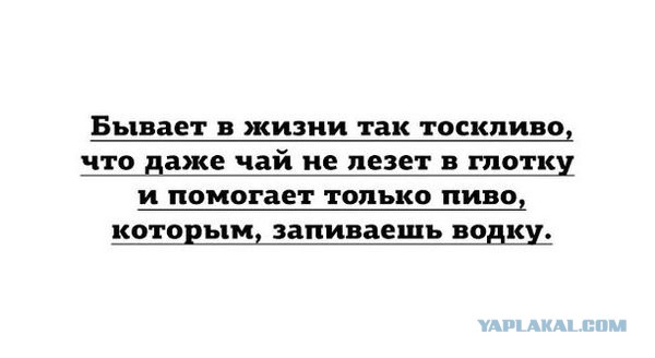 Смешные комментарии из социальных сетей 03.06.2016