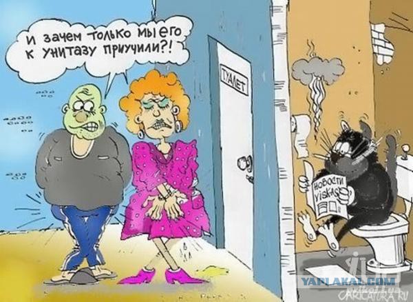 Запас выражений не истекает