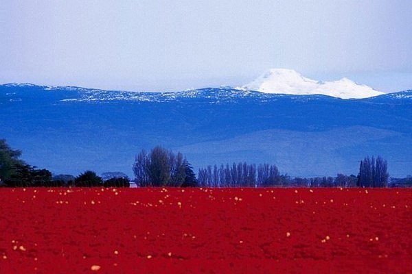 Фото интересные и не только