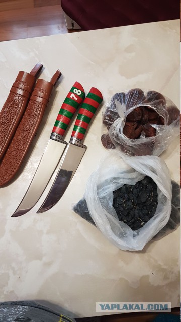 Продам Пчаки