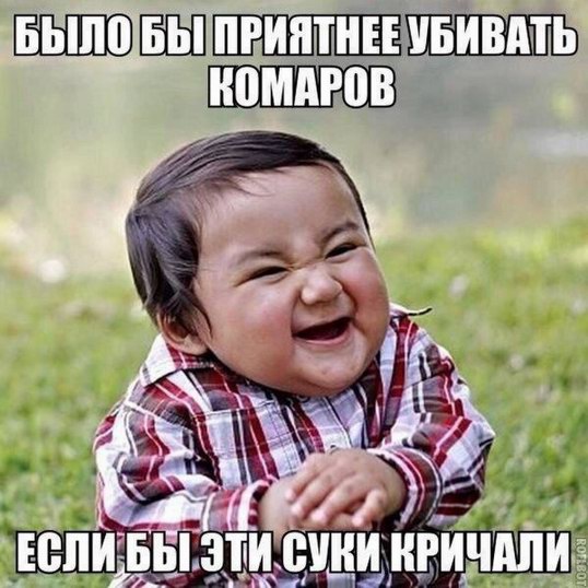Точка бифуркации пройдена...