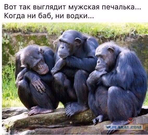 О такой от юмор
