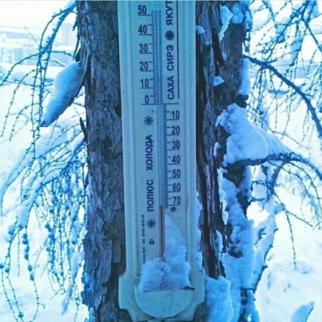 Подборка интересных и веселых картинок