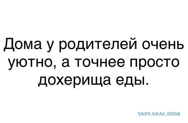 Смешные комментарии из социальных сетей 20.04.2018