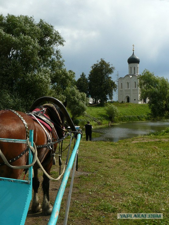 Дорога в Московской области